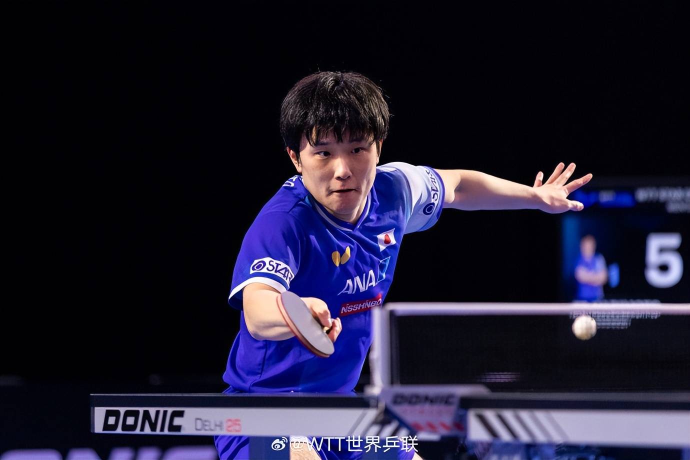 葡萄牙队力克波兰队，张本智和带队取胜