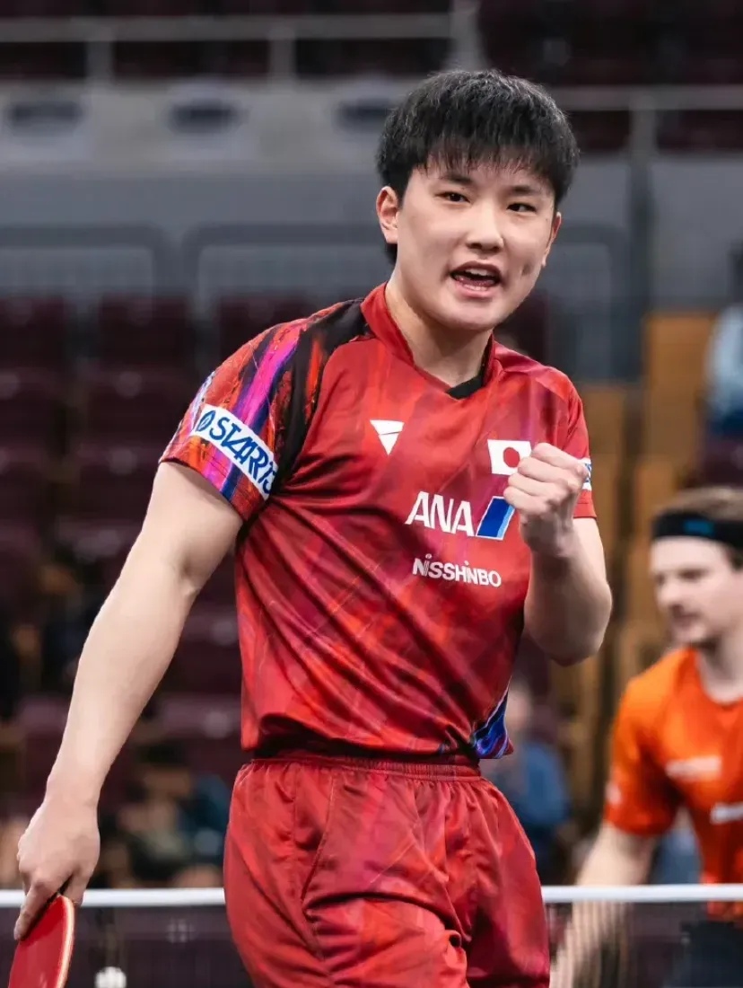 葡萄牙队力克波兰队，张本智和带队取胜