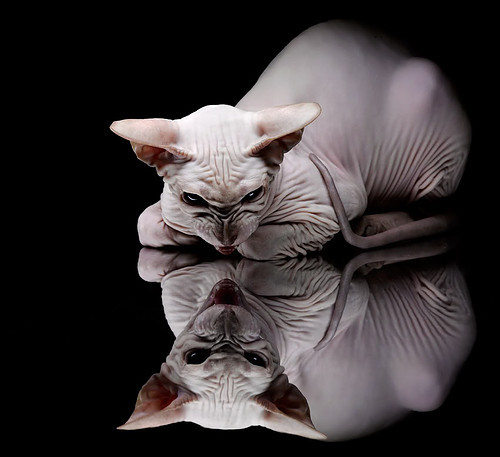 生死边缘改写历史，韩国队险胜泰国队，黄鸭组合刷新纪录