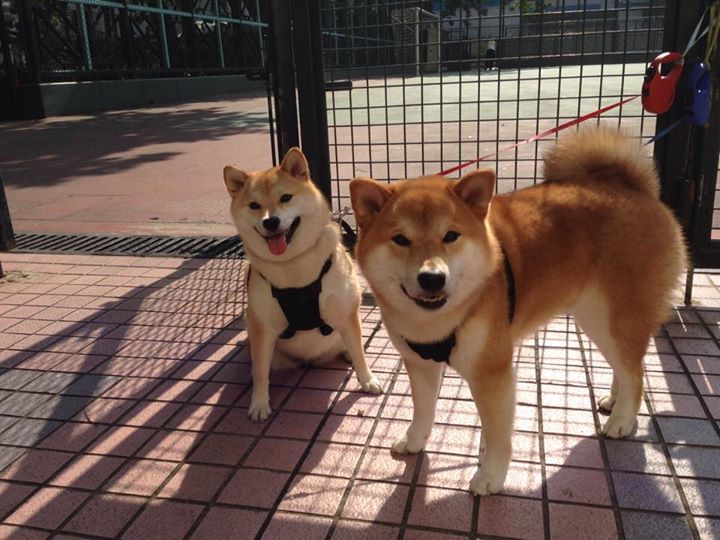 冰封迷局中的唯一解，德布劳内如何用一脚不可能的传球点燃赛场，并改写比利时足球叙事