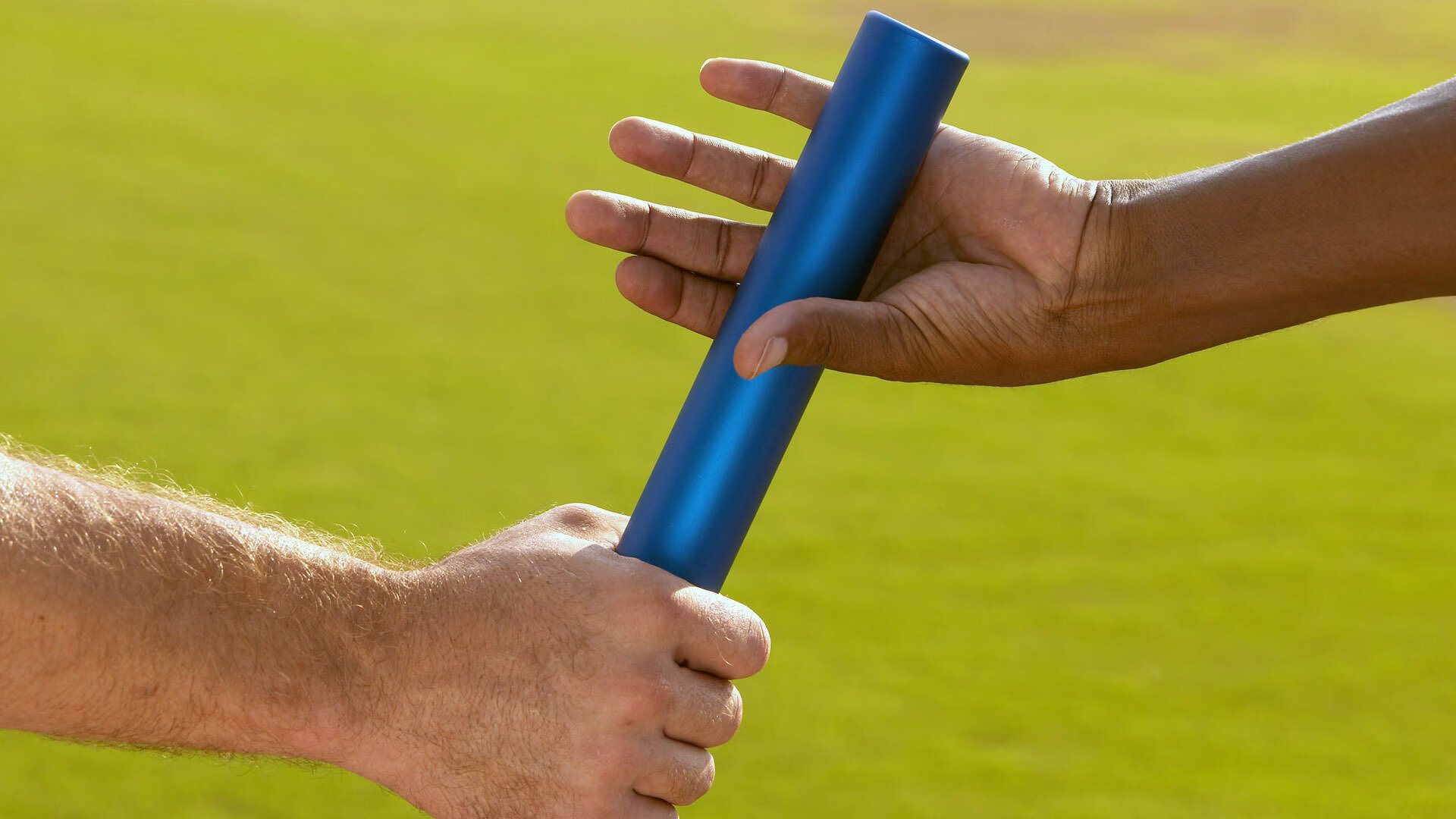 当向日葵遇见绿白条纹，一个法国人如何将两种颜色拧成战争与和平的绳结