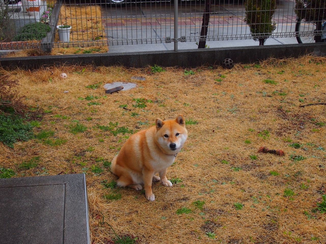 沙漠中的逆转，伊萨克如何于重压下完成灵魂试炼