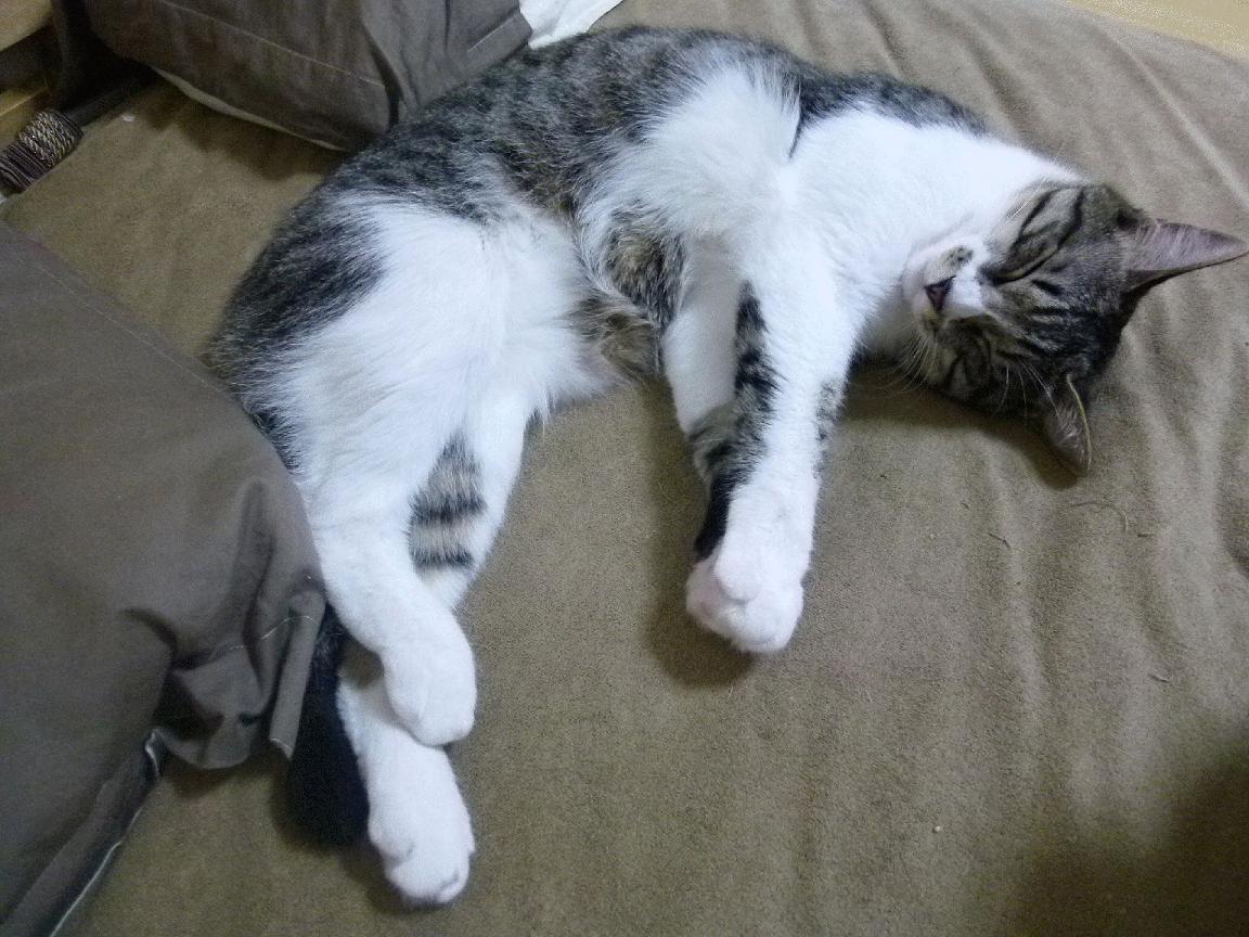 深渊与巅峰，卢卡库的绝杀与红牌，一个撕裂的意甲焦点战之夜