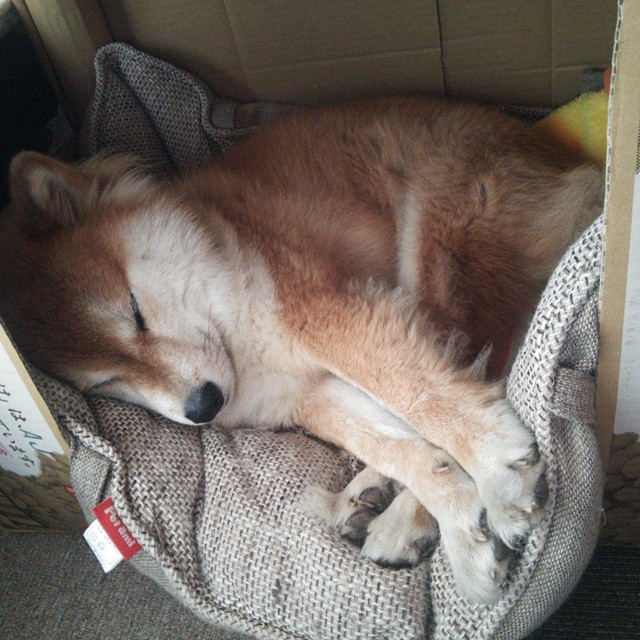 瞬间定义永恒，黄喜灿在两个世界之间的传奇闪光