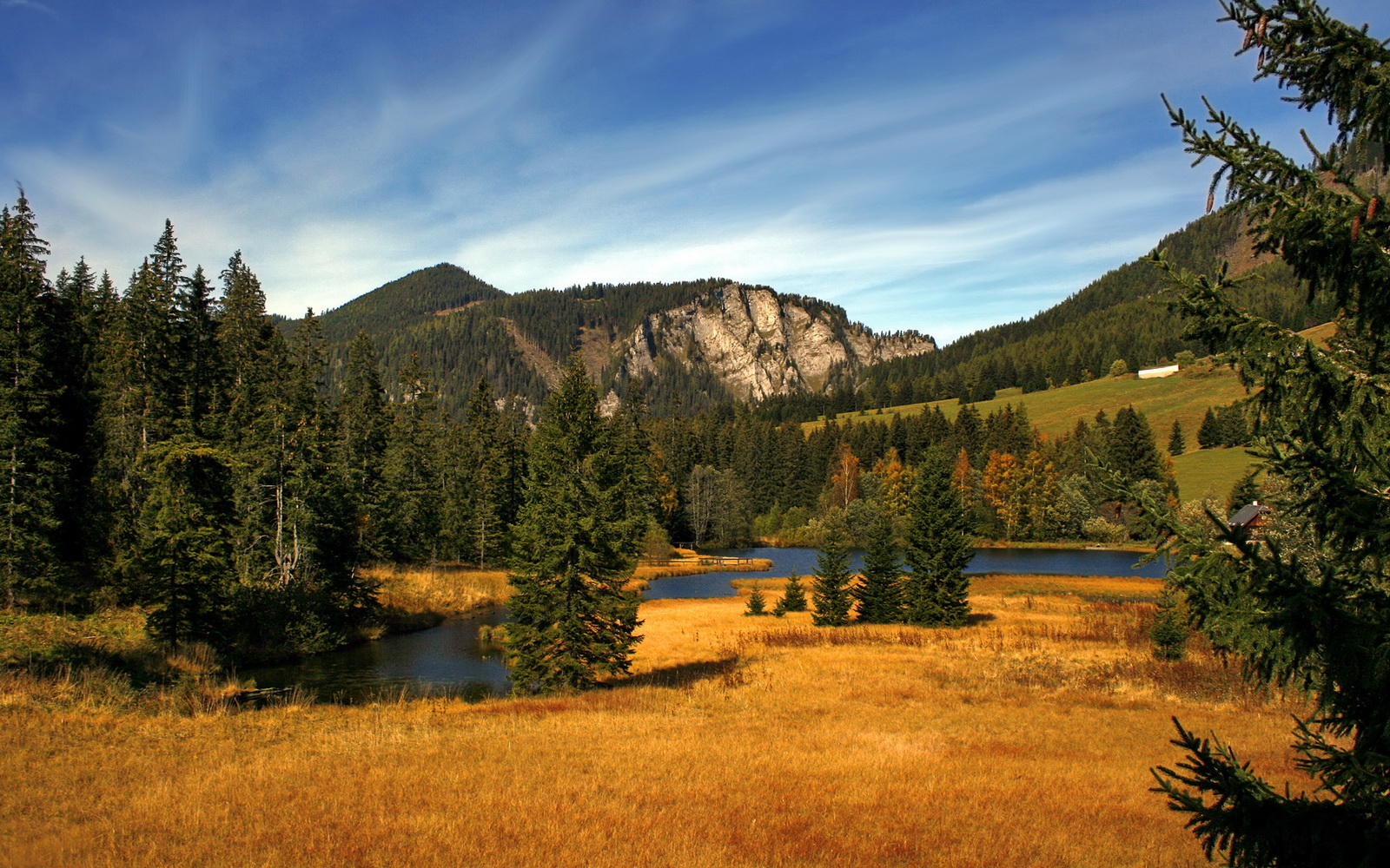 双线接管，活塞铁阵锁魔术，贝恩稳舵夺桂冠