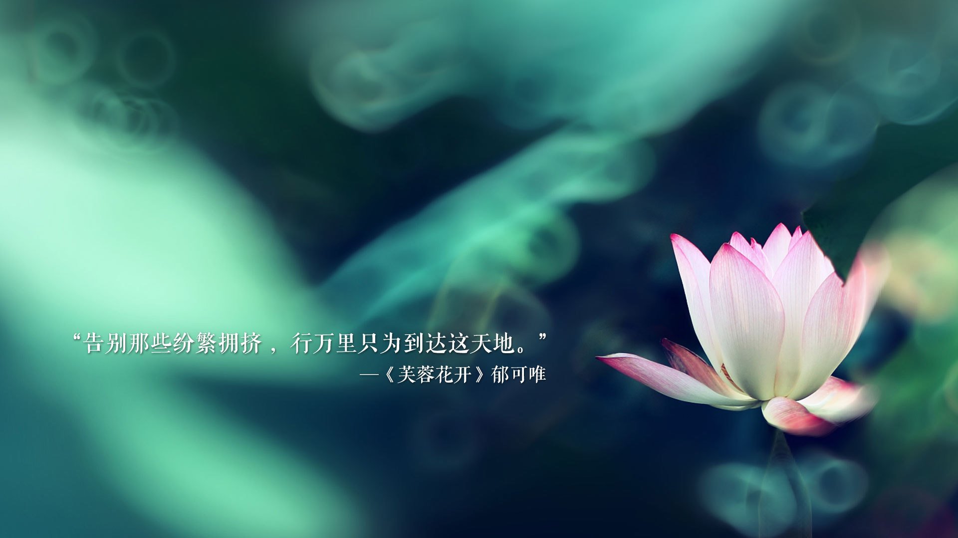 团队压制下的个人璀璨，热火铁血体系与伦纳德孤星闪耀的辩证法