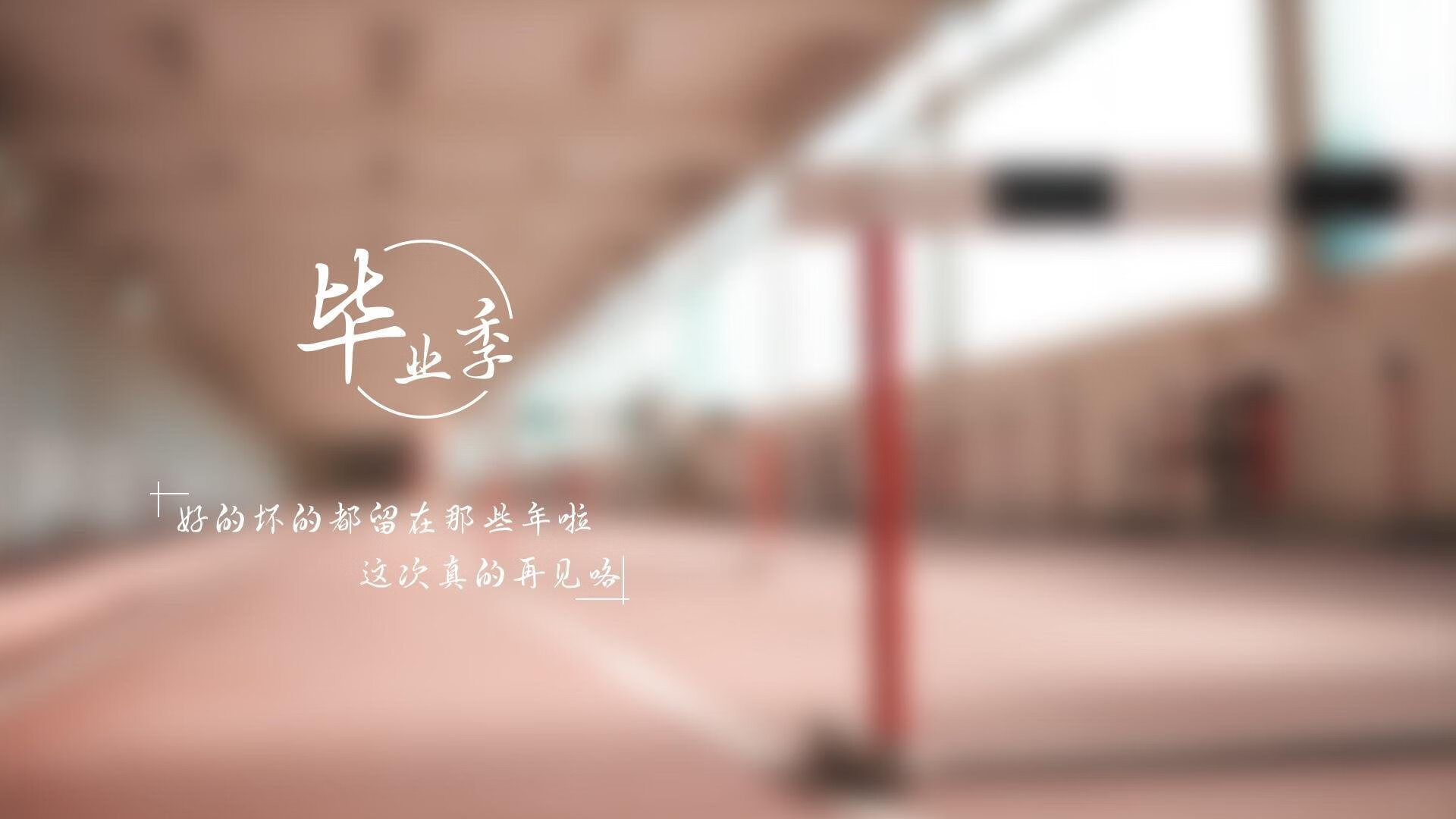 东契奇数据爆炸之夜,英雄主义与团队荣耀的华丽对撞