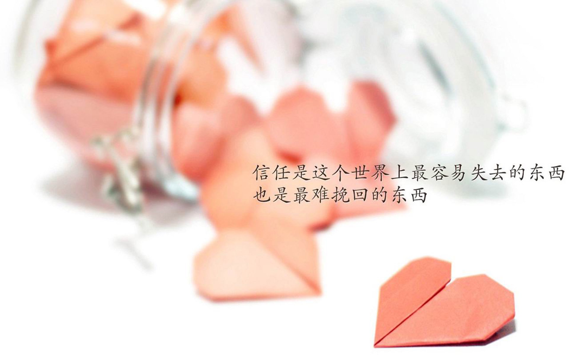 沙漠之鹰折翼安第斯,京多安主宰B组天王山,厄瓜多尔用足球哲学完胜波斯铁骑