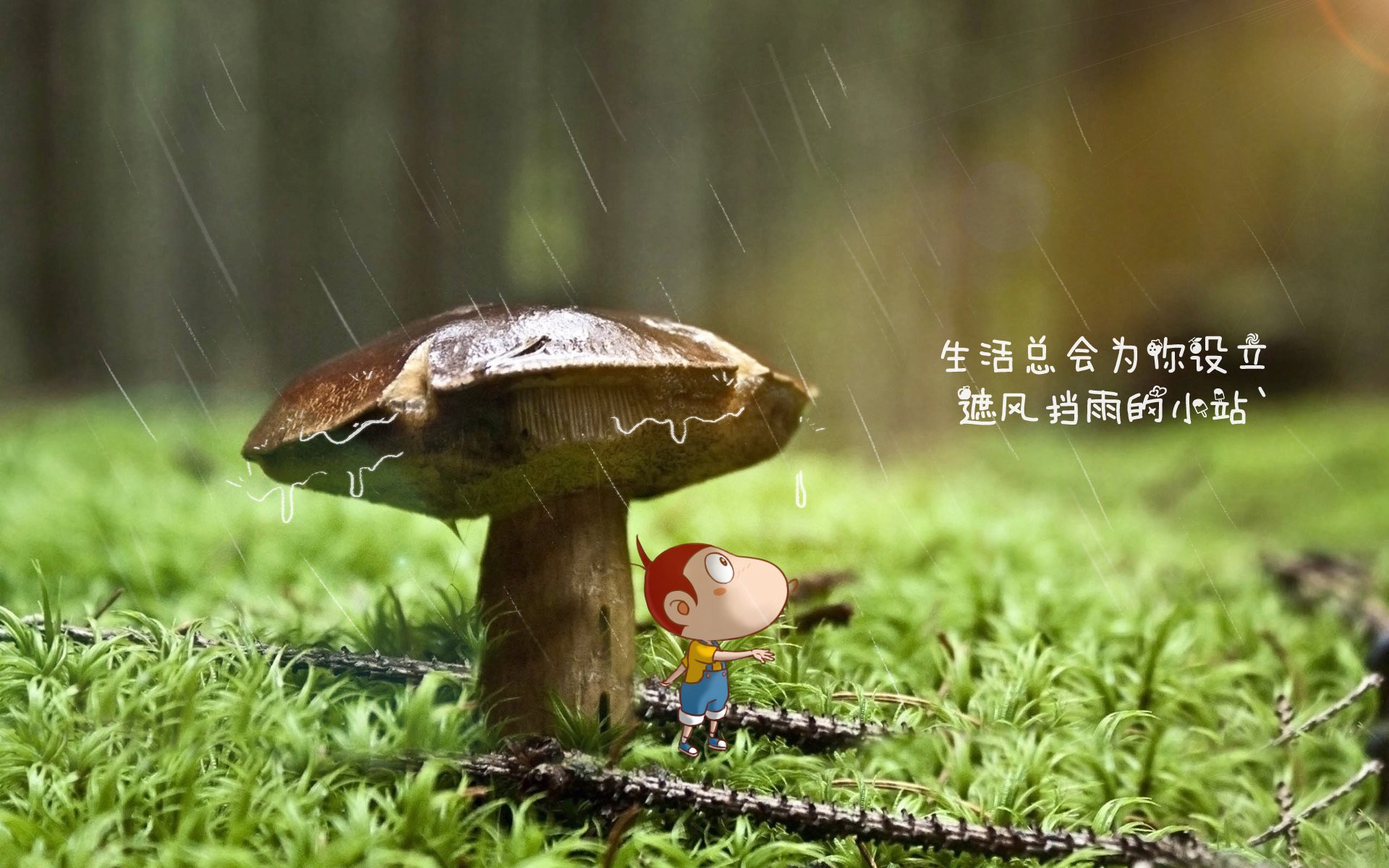 节奏之王的统治,迪亚斯如何用慢与快的哲学,导演匈牙利在2026世界杯C组关键战的横扫之夜