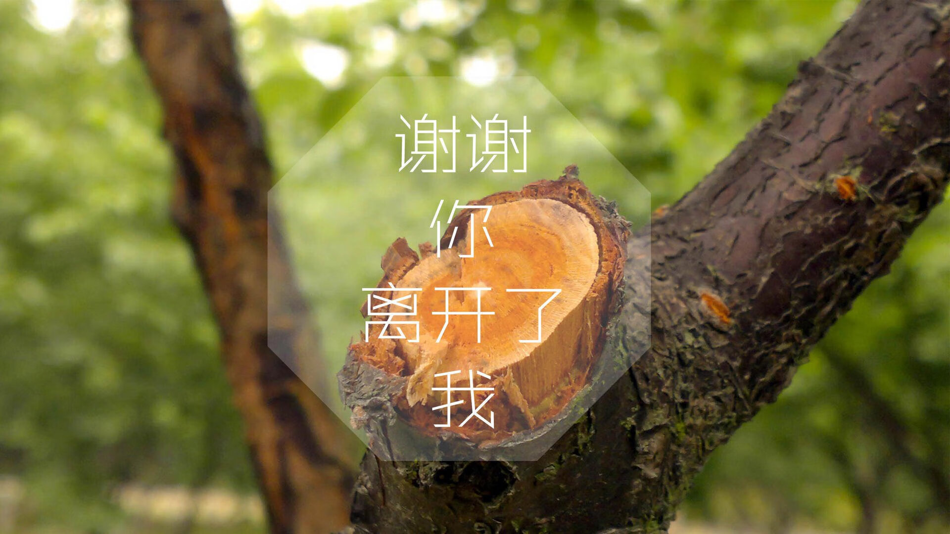2026世界杯E组暗流，泰国以柔克刚压制加纳，阿方索·戴维斯一人改写比赛节奏密码