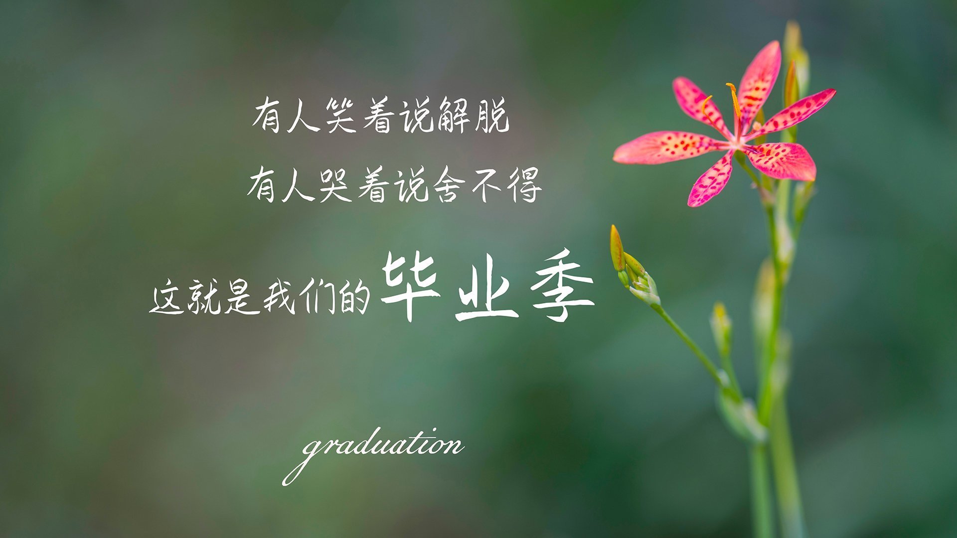 里斯本之夜，当葡萄牙的华丽遇上罗马尼亚的钢铁，萨内用一次越位重写了2026世界杯D组的秩序